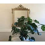 Dimora Castello Vecchia 1 4 Posti Bari